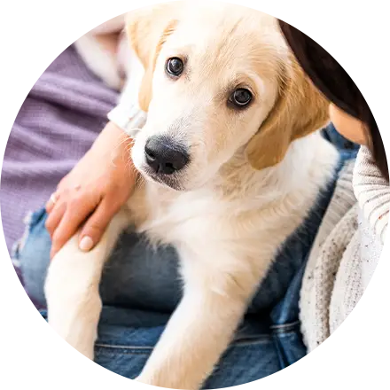 入院・湯治施設