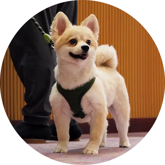 宿泊施設でのマナー