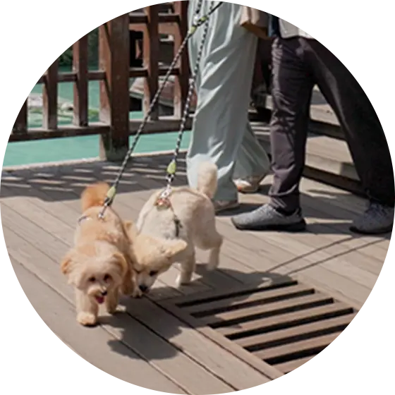 公園・観光地でのマナー