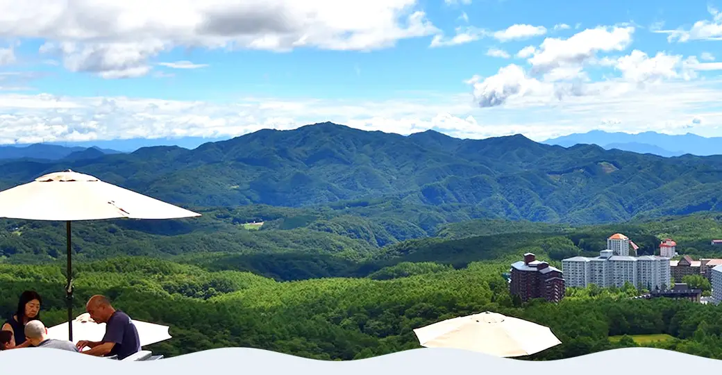夏の風景